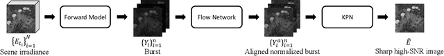 Figure 3 for Digital Gimbal: End-to-end Deep Image Stabilization with Learnable Exposure Times