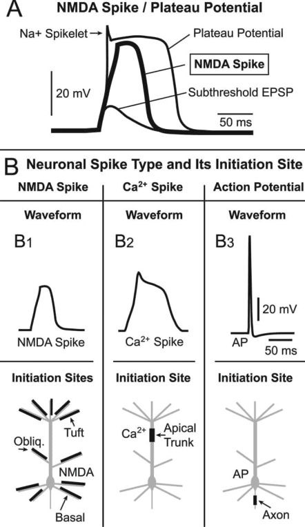 Figure 4 for An Accelerated Analog Neuromorphic Hardware System Emulating NMDA- and Calcium-Based Non-Linear Dendrites