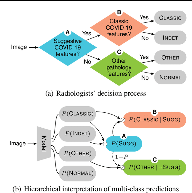 Figure 2 for Hierarchical Analysis of Visual COVID-19 Features from Chest Radiographs