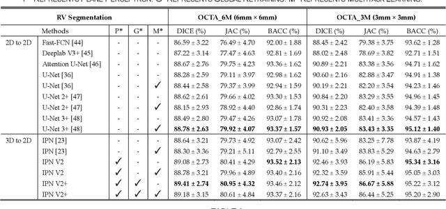 Figure 2 for IPN-V2 and OCTA-500: Methodology and Dataset for Retinal Image Segmentation
