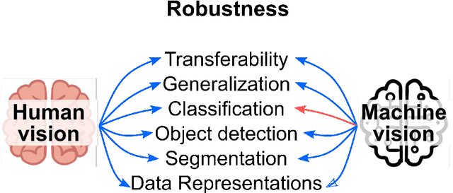 Figure 3 for Bio-inspired Robustness: A Review