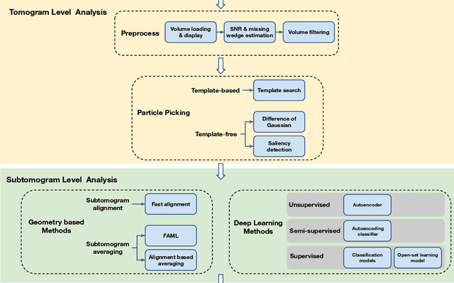 Figure 1 for AITom: Open-source AI platform for cryo-electron Tomography data analysis