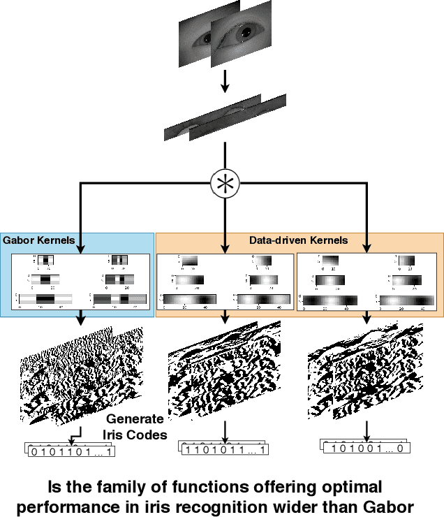 Figure 1 for Are Gabor Kernels Optimal for Iris Recognition?