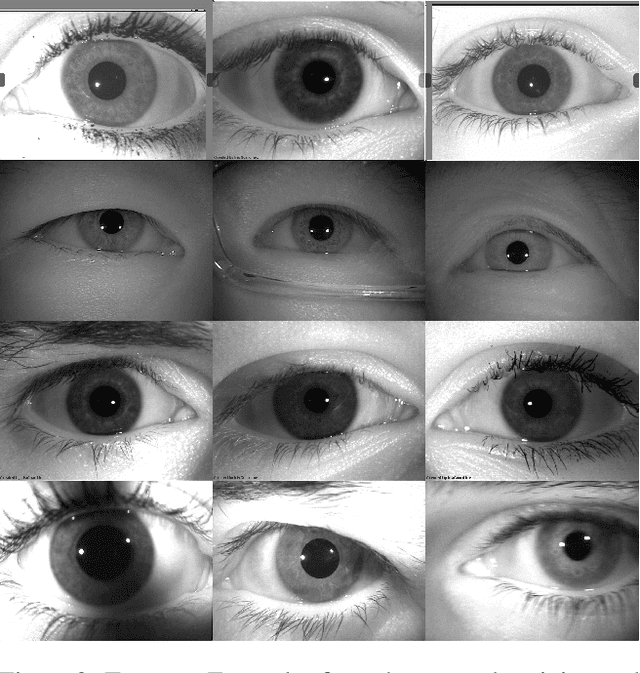 Figure 2 for Are Gabor Kernels Optimal for Iris Recognition?