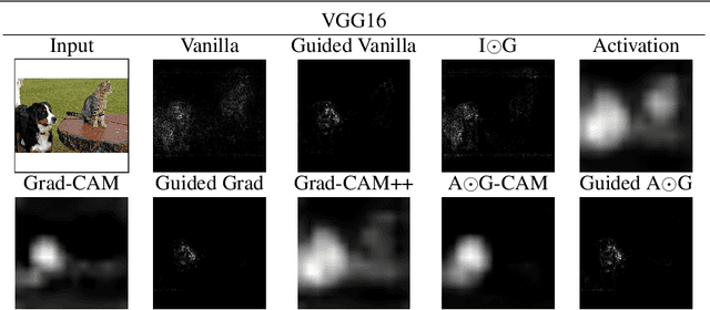 Figure 3 for Gradient Weighted Superpixels for Interpretability in CNNs