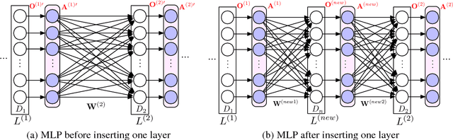 Figure 1 for CompNet: Neural networks growing via the compact network morphism