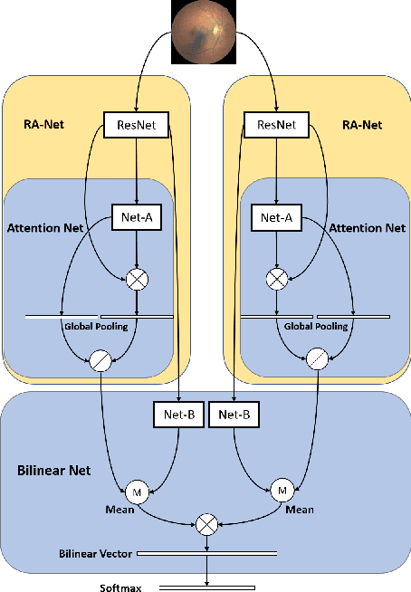 Figure 1 for BiRA-Net: Bilinear Attention Net for Diabetic Retinopathy Grading