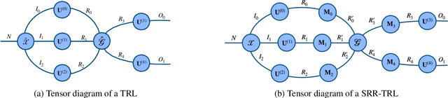 Figure 1 for Stochastically Rank-Regularized Tensor Regression Networks