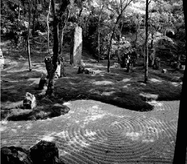 Figure 1 for Genetic algorithms and the art of Zen