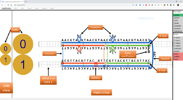 Figure 1 for scadnano: A browser-based, scriptable tool for designing DNA nanostructures
