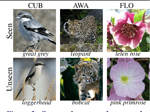 Figure 3 for Bias-Awareness for Zero-Shot Learning the Seen and Unseen