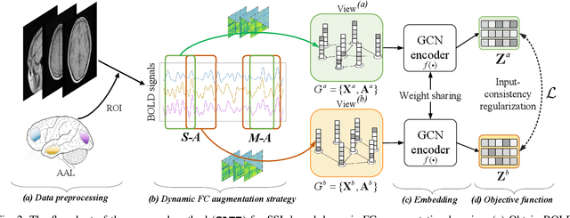 Figure 2 for GATE: Graph CCA for Temporal SElf-supervised Learning for Label-efficient fMRI Analysis