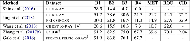 Figure 3 for A Survey on Biomedical Image Captioning