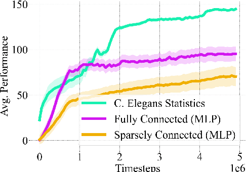 Figure 4 for Biological connectomes as a representation for the architecture of artificial neural networks