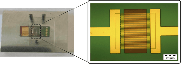 Figure 3 for Microfluidic-based Bacterial Molecular Computing on a Chip