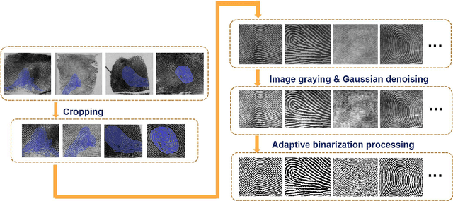 Figure 3 for An Unsupervised Deep-Learning Method for Fingerprint Classification: the CCAE Network and the Hybrid Clustering Strategy