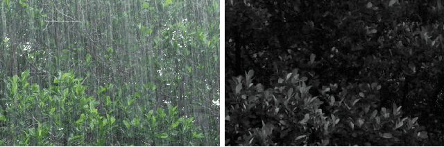 Figure 3 for Robust Optical Flow Estimation in Rainy Scenes