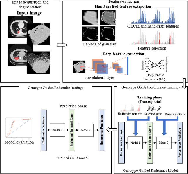 Figure 1 for Genotype-Guided Radiomics Signatures for Recurrence Prediction of Non-Small-Cell Lung Cancer