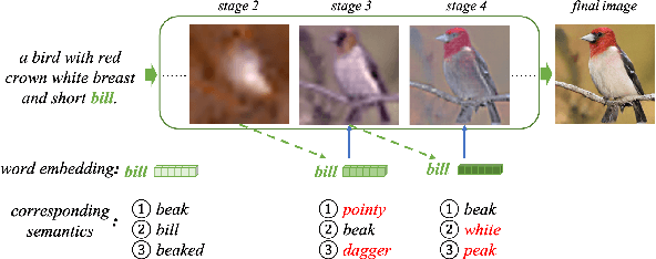 Figure 1 for DSE-GAN: Dynamic Semantic Evolution Generative Adversarial Network for Text-to-Image Generation