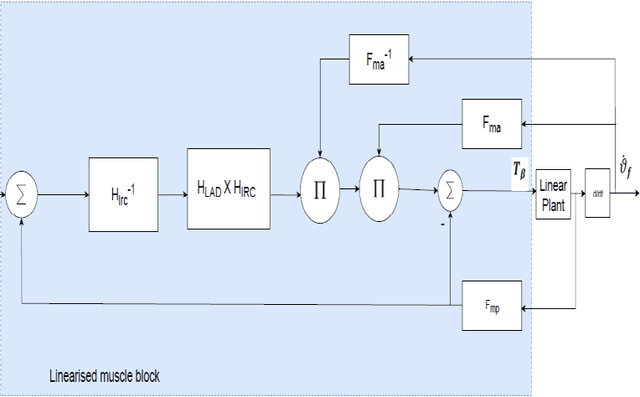 Figure 4 for A Simulation Study of Functional Electrical Stimulation for An Upper Limb Rehabilitation Robot using Iterative Learning Control (ILC) and Linear models