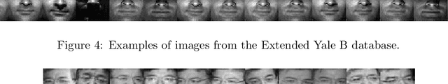 Figure 4 for Non-negative representation based discriminative dictionary learning for face recognition