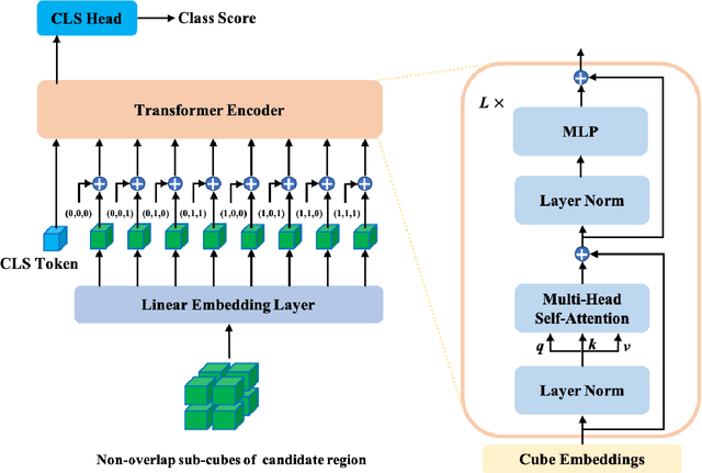 Figure 1 for Unsupervised Contrastive Learning based Transformer for Lung Nodule Detection