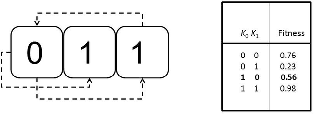 Figure 3 for Haploid-Diploid Evolution: Nature's Memetic Algorithm