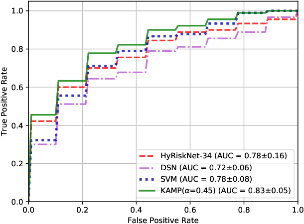 Figure 4 for Knowledge-based Analysis for Mortality Prediction from CT Images