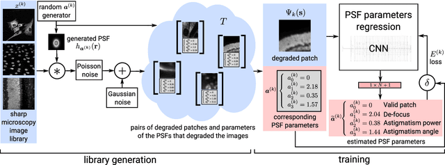 Figure 2 for Spatially-Variant CNN-based Point Spread Function Estimation for Blind Deconvolution and Depth Estimation in Optical Microscopy
