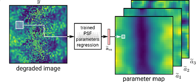 Figure 3 for Spatially-Variant CNN-based Point Spread Function Estimation for Blind Deconvolution and Depth Estimation in Optical Microscopy
