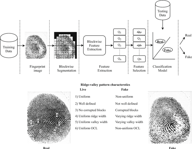Figure 1 for Fingerprint liveness detection using local quality features