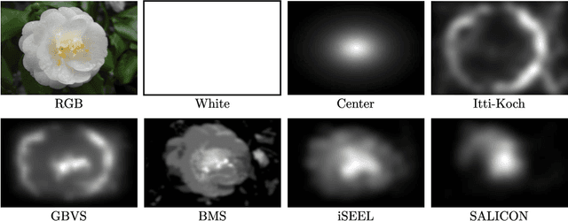 Figure 3 for Saliency for Fine-grained Object Recognition in Domains with Scarce Training Data