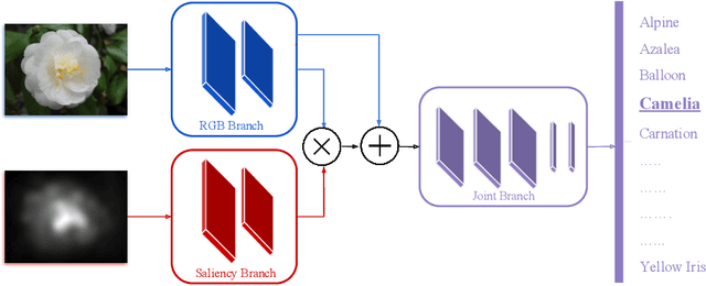 Figure 1 for Saliency for Fine-grained Object Recognition in Domains with Scarce Training Data