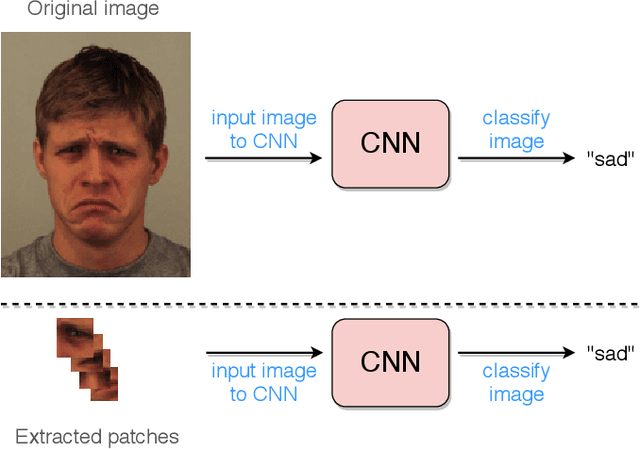 Figure 1 for Deep Evolution for Facial Emotion Recognition