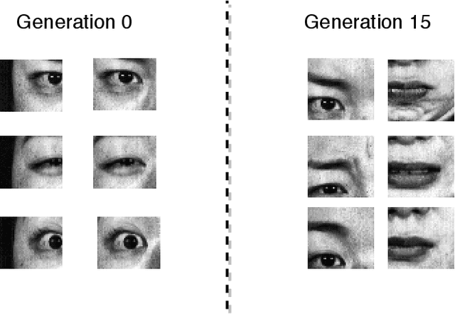 Figure 2 for Deep Evolution for Facial Emotion Recognition
