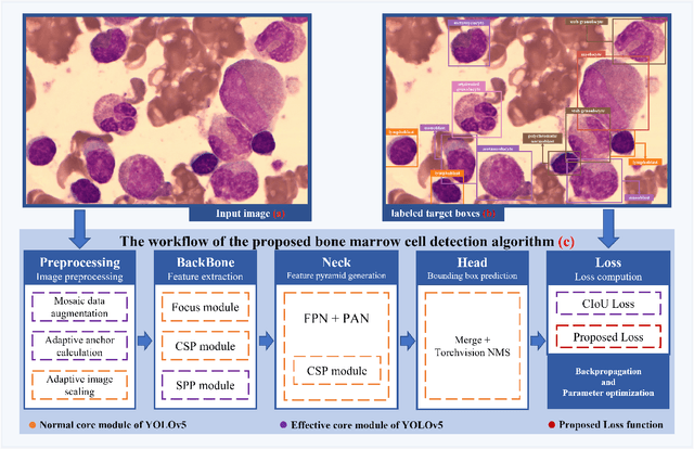 Figure 1 for Bone Marrow Cell Recognition: Training Deep Object Detection with A New Loss Function