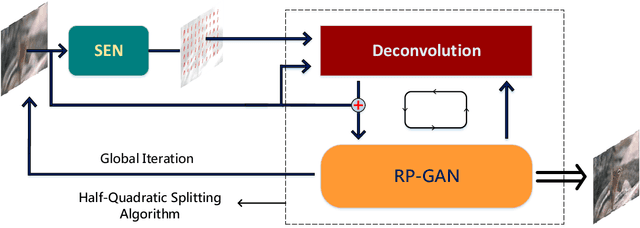 Figure 3 for Learning deep neural networks in blind deblurring framework