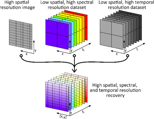 Figure 1 for Giga-voxel multidimensional fluorescence imaging combining single-pixel detection and data fusion