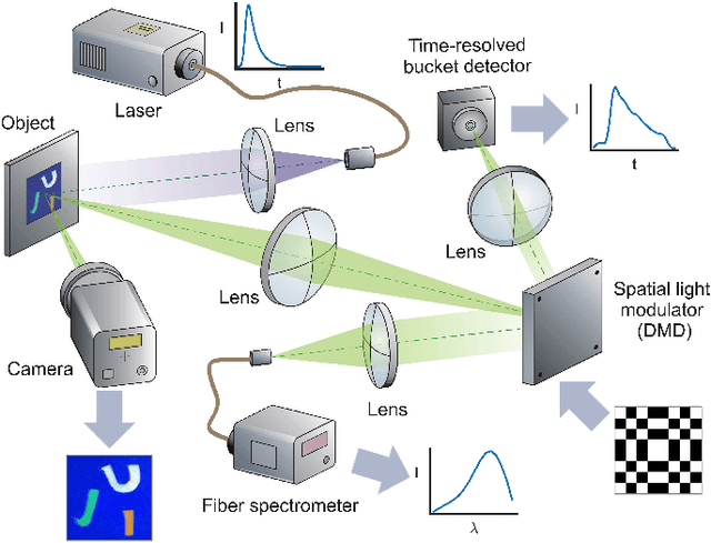 Figure 2 for Giga-voxel multidimensional fluorescence imaging combining single-pixel detection and data fusion