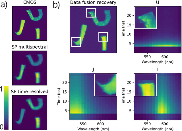 Figure 3 for Giga-voxel multidimensional fluorescence imaging combining single-pixel detection and data fusion