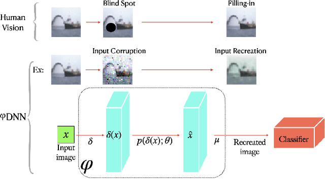 Figure 1 for Perceptual Deep Neural Networks: Adversarial Robustness through Input Recreation