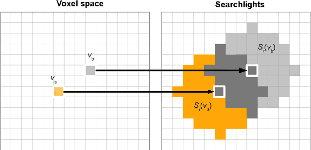 Figure 1 for On the geometric structure of fMRI searchlight-based information maps