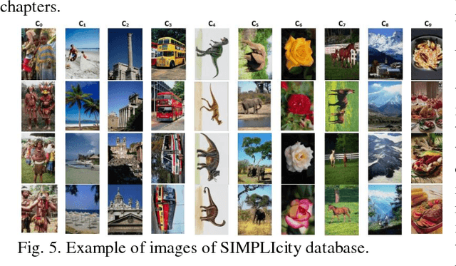 Figure 3 for Interval type-2 Beta Fuzzy Near set based approach to content based image retrieval