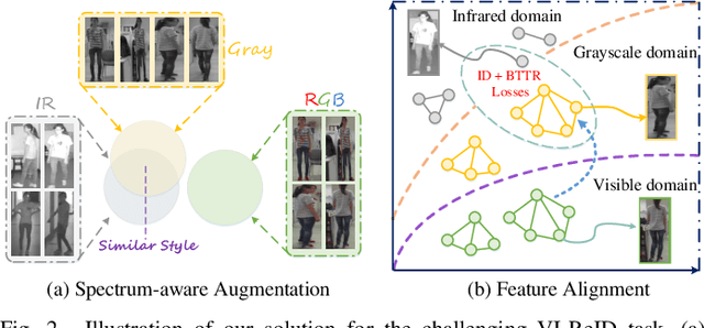 Figure 4 for SFANet: A Spectrum-aware Feature Augmentation Network for Visible-Infrared Person Re-Identification