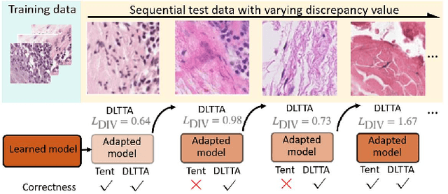 Figure 1 for DLTTA: Dynamic Learning Rate for Test-time Adaptation on Cross-domain Medical Images