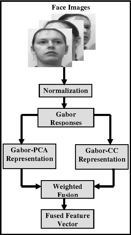 Figure 1 for Robust multi-camera view face recognition