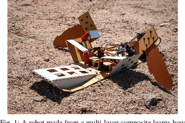 Figure 1 for From the Lab to the Desert: Fast Prototyping and Learning of Robot Locomotion