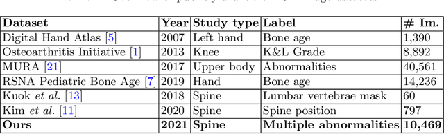 Figure 1 for VinDr-SpineXR: A deep learning framework for spinal lesions detection and classification from radiographs