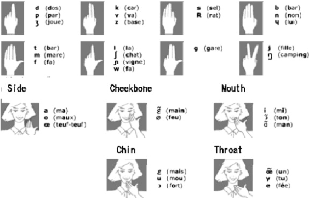 Figure 1 for Cross-Modal Knowledge Distillation Method for Automatic Cued Speech Recognition