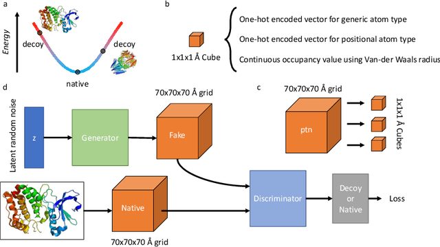 Figure 1 for Functional Protein Structure Annotation Using a Deep Convolutional Generative Adversarial Network